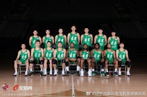 辽宁队图片,谱写辉煌篇章 第2张 辽宁队图片,谱写辉煌篇章 第2张