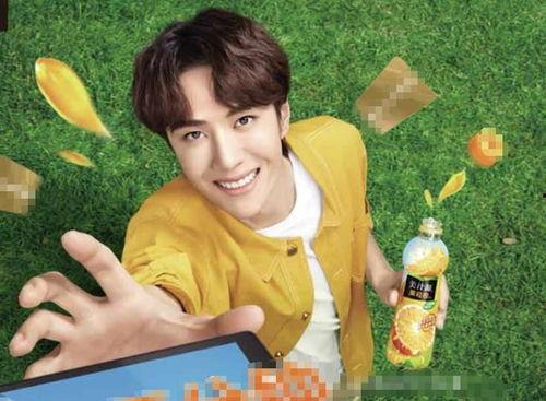 露出假笑表情包贾乃亮,揭秘明星幕后生活点滴  第3张