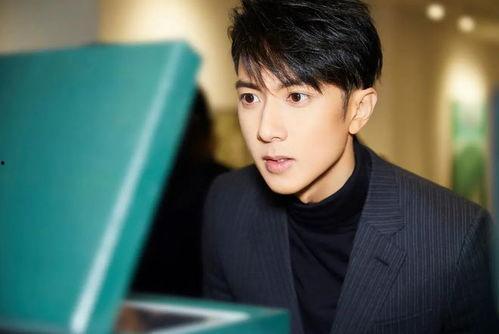 王子明星,闪耀舞台的璀璨星辰 第2张 王子明星,闪耀舞台的璀璨星辰 第2张